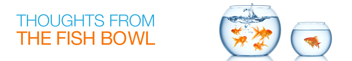 Matmon Blog | Thoughts from the fishbowl